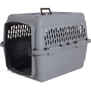 Aspen Pet Traditional Dog & Cat Carrier, Light Gray, 28-in
