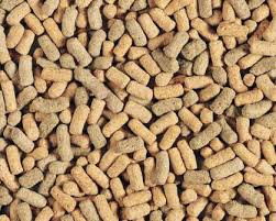 Hagen Tropican Sticks