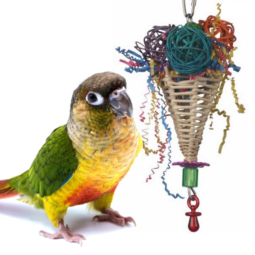 Super Bird Triple Dip bird toy