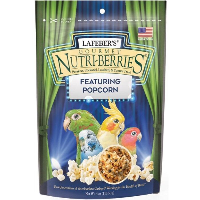 Popcorn Nutri-Berries (4oz)